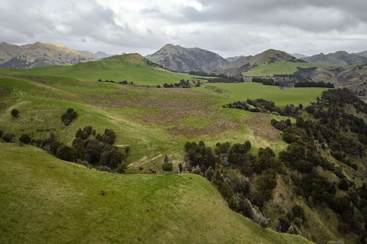 3717 Inland Kaikoura Road Mt Lyford_27