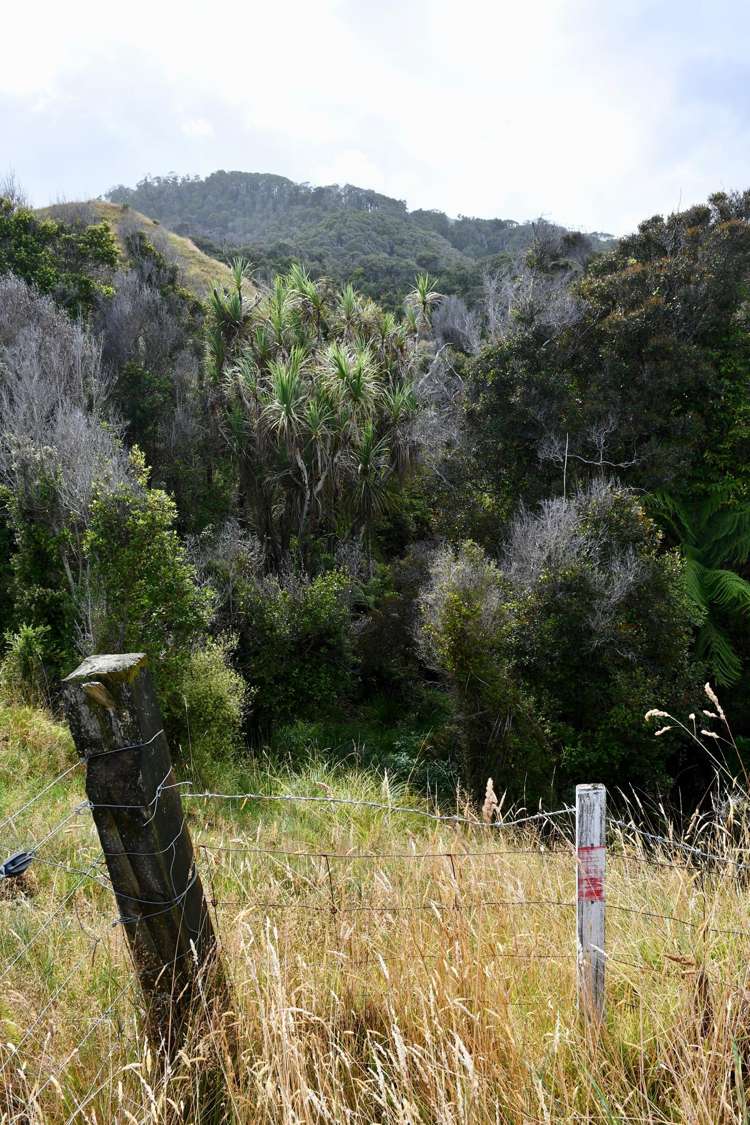 904 Karamea Kohaihai Road Karamea_48