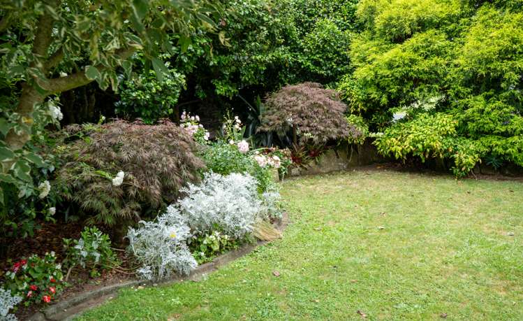 147 Taylor Street Cambridge_15