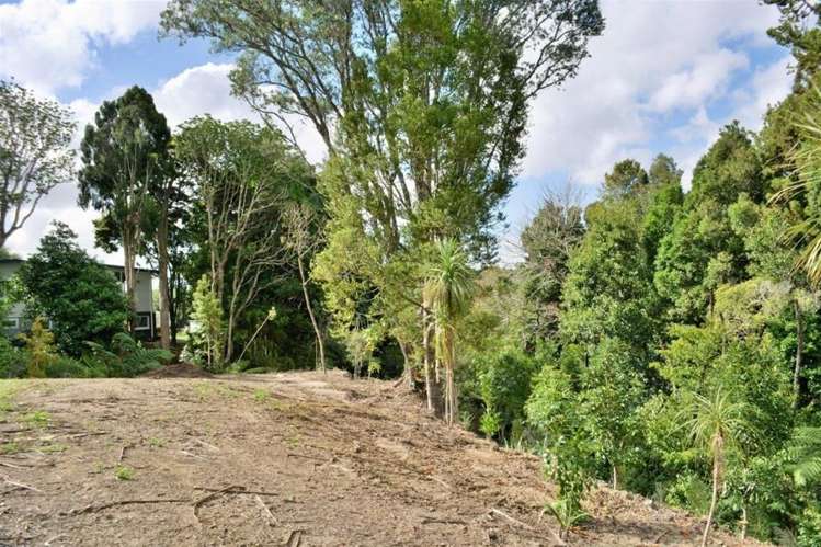 56 Pah Road Cockle Bay_9