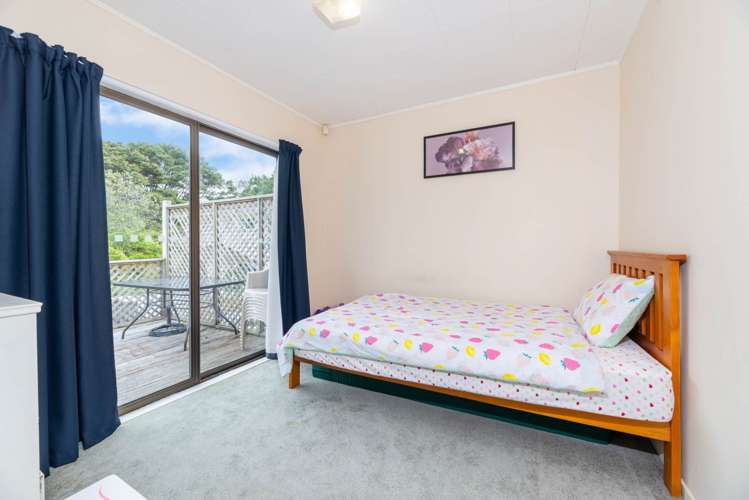 16 Halsey Drive Lynfield_7