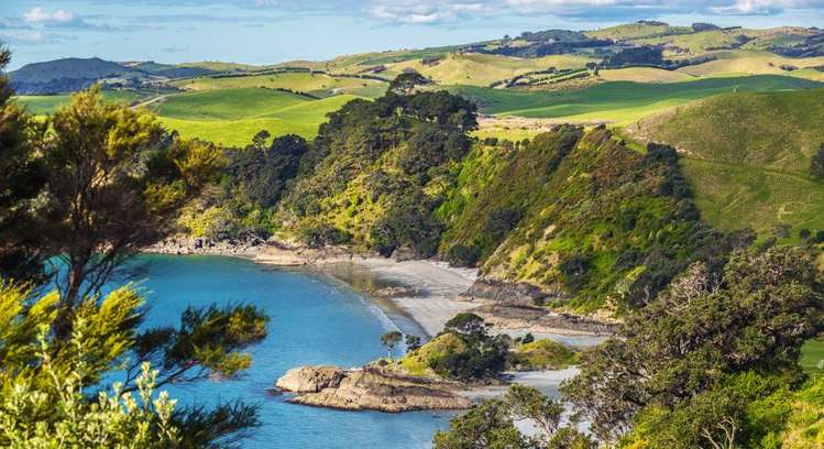 47a Belle Terrace Waiheke Island_19