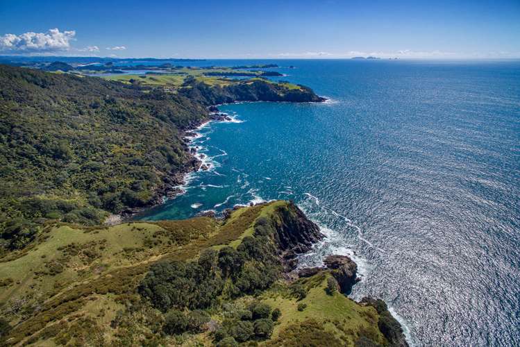 Kauri Mountain Road Whangarei_8