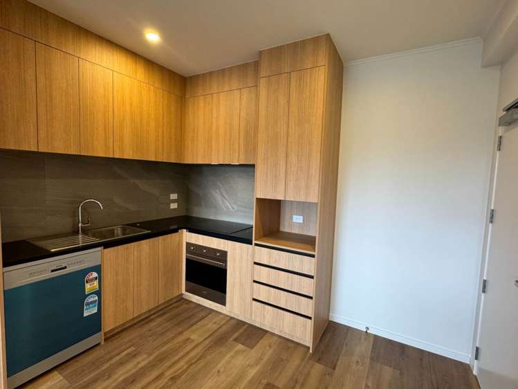 202/48 Clay Works Lane New Lynn_4