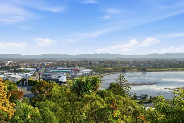 39 Te Awakura Terrace Mount Pleasant_1