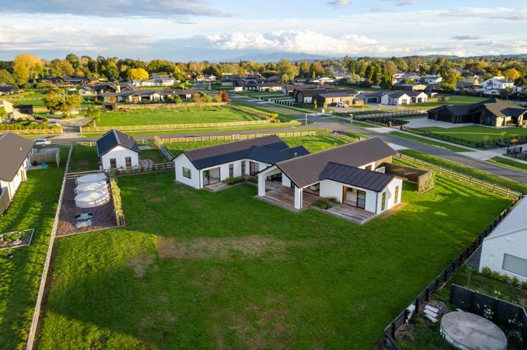 28 Captain Stone Te Kowhai_37