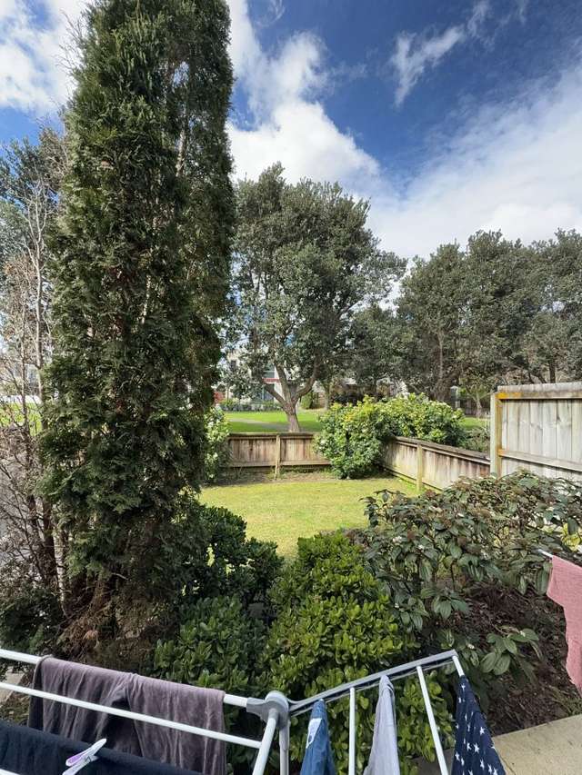 55 Phar Lap Crescent Takanini_2