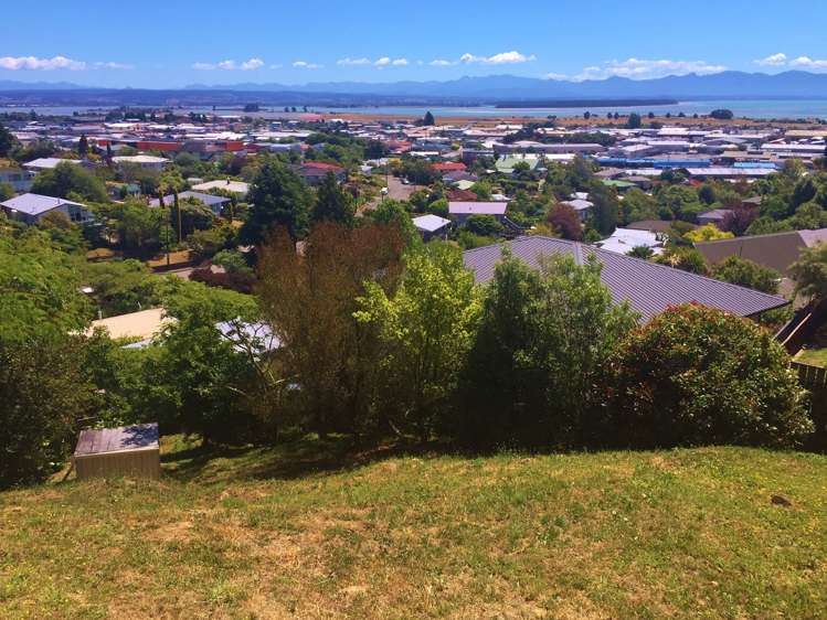 44a Maire Street Tahunanui_0