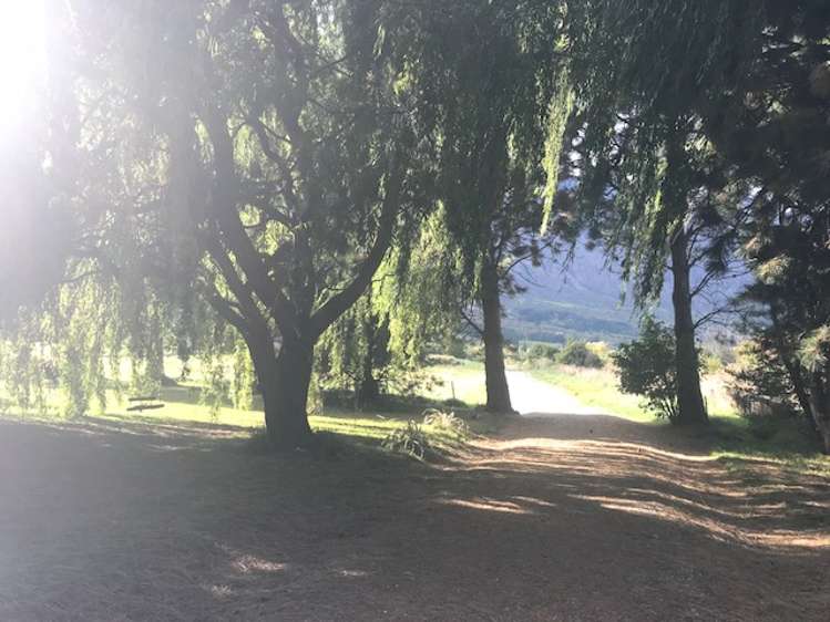 33 Kawarau Place Frankton_17