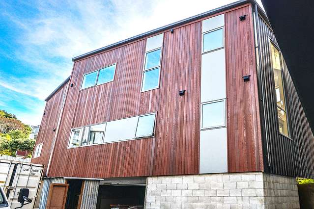 3 Salmont Place Kelburn_3