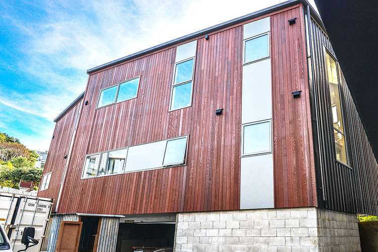 3 Salmont Place Kelburn_3