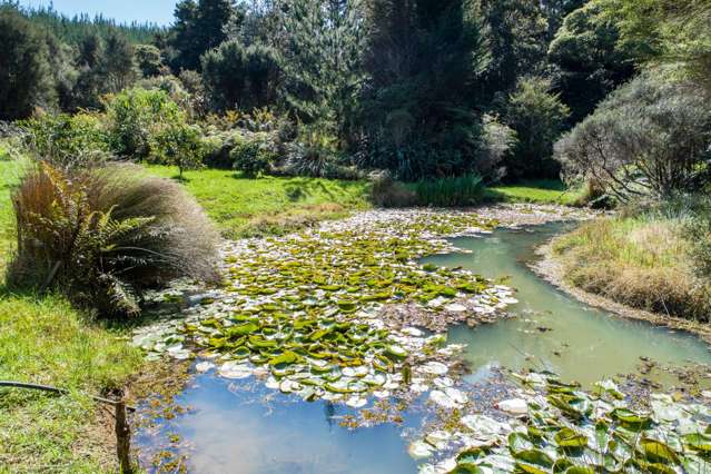 37 Huanui Road Glenbervie_2