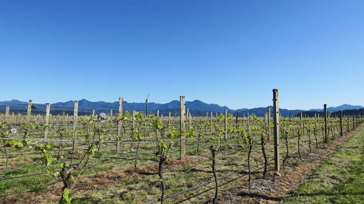 708 Waihopai Valley Road Waihopai Valley_1