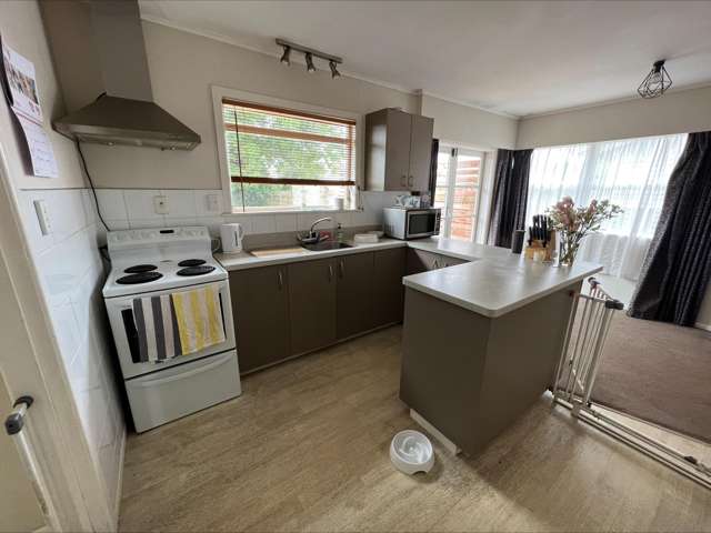 7 Totara Drive Saint Andrews_3