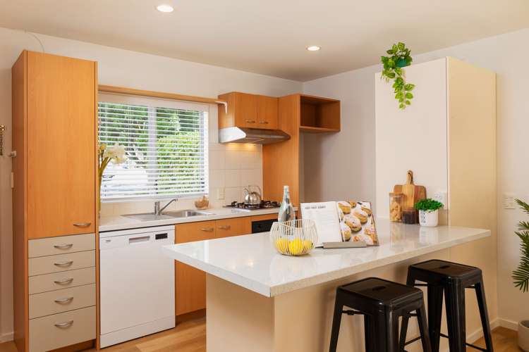 41/218 Captain Springs Road Onehunga_6