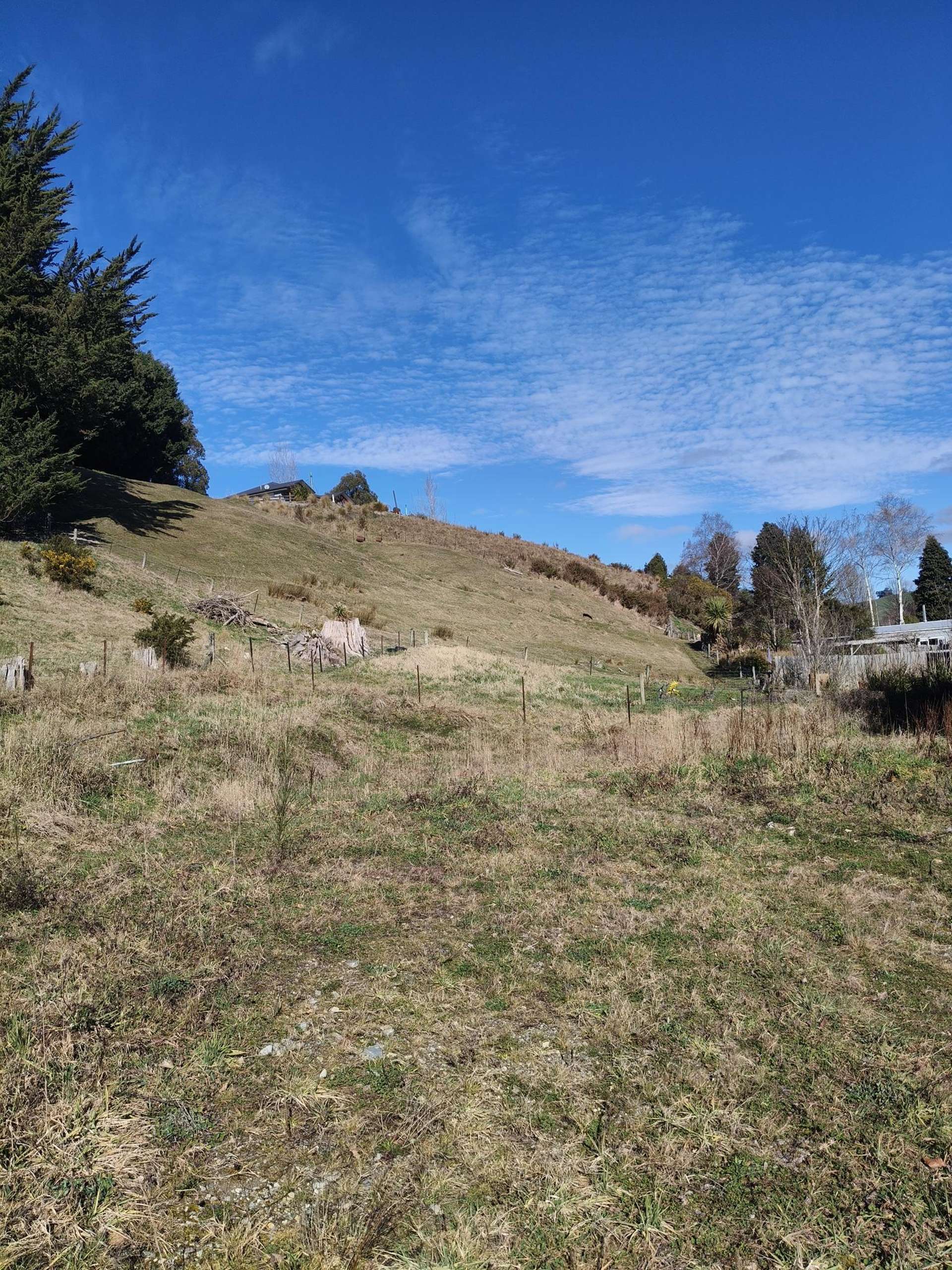 24 Campbelton Street Lawrence_0