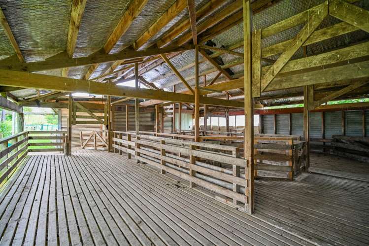 1544 Kahuranaki Road Kahuranaki_27