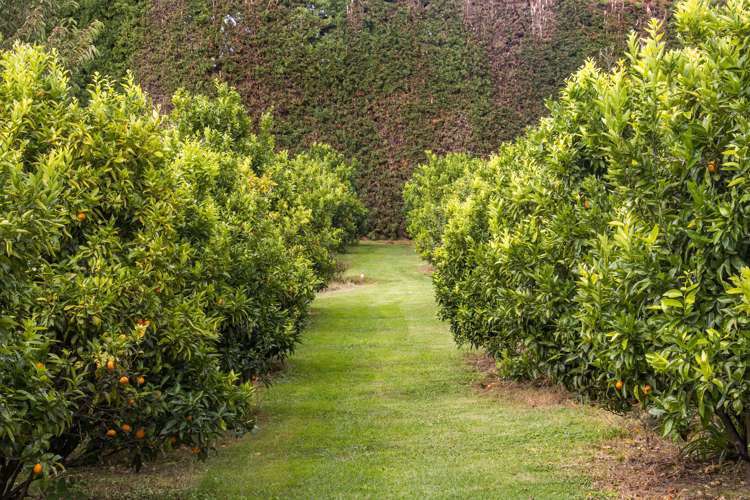 92 Pukakura Road Katikati_23