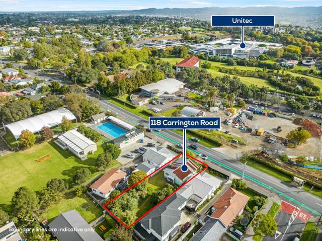 118 Carrington Road Mount Albert_2