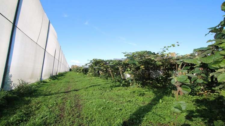 191 Gow Road Edgecumbe_7