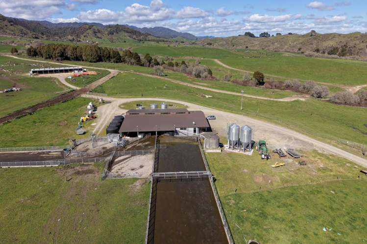 283 Minginui Road Galatea_15
