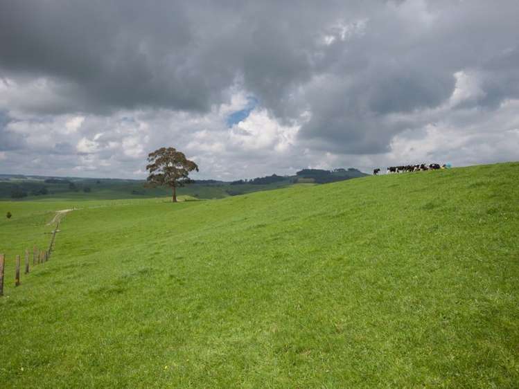 438 Waotu South Road Putaruru_39