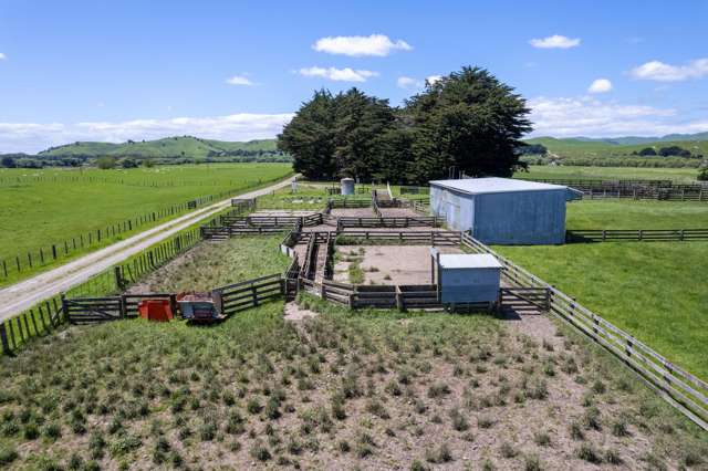 253 Oringi Road Dannevirke_4