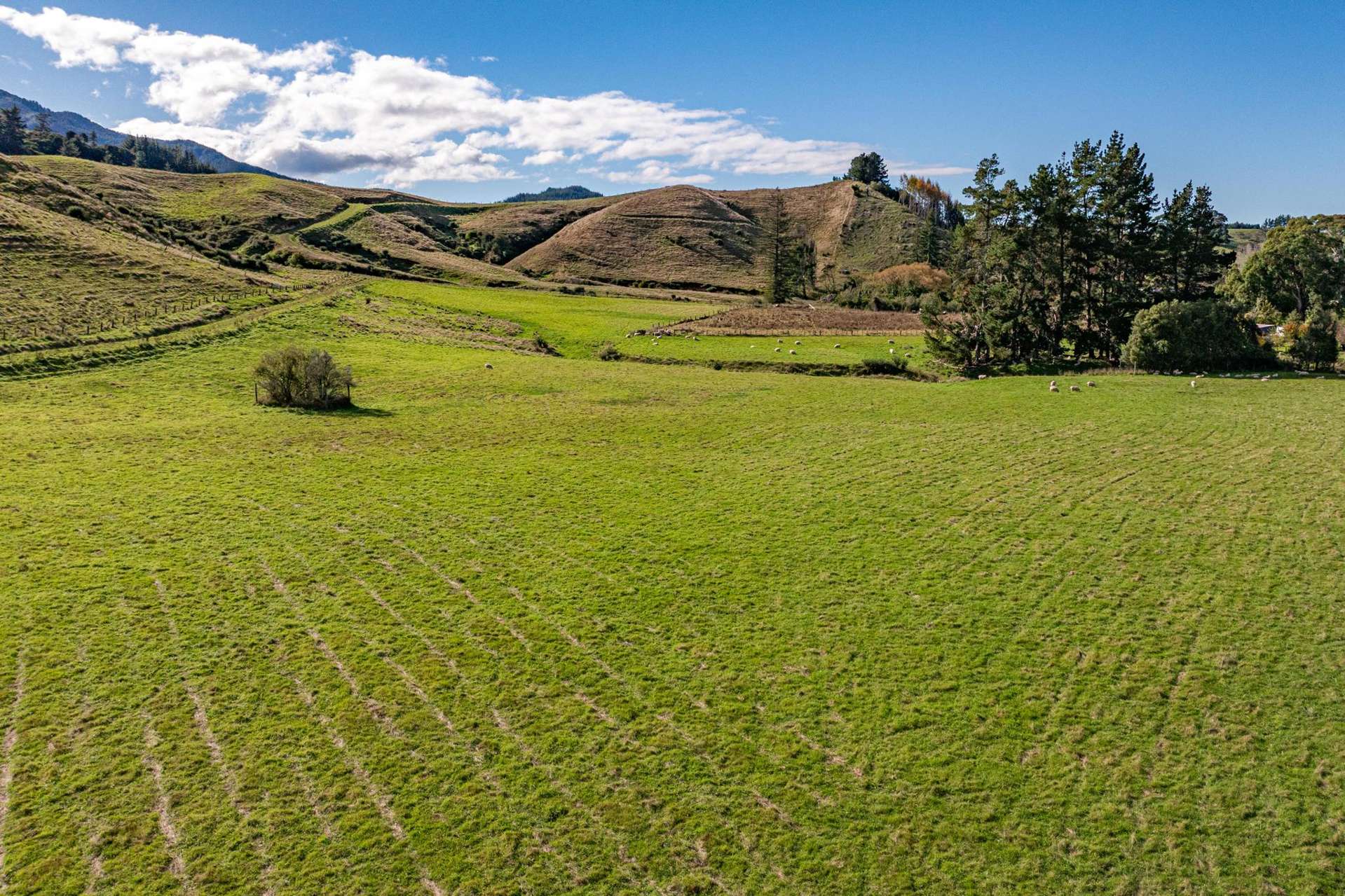52 Little Pokororo Road Motueka Valley_0