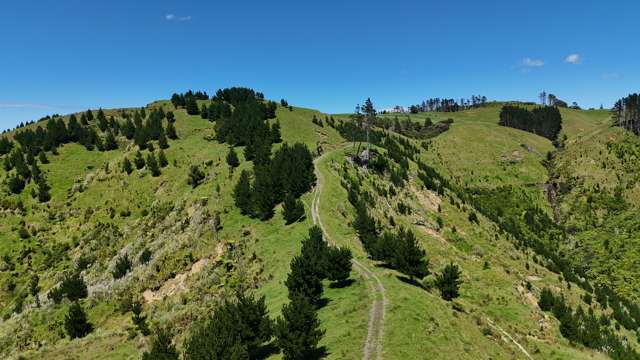 44D Guy Road Kaipara Flats_2