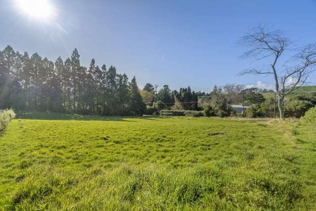 60 Saxton Road Upper Vogeltown_4