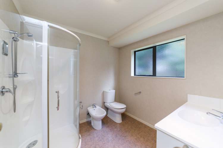 294 Bryce Road Kiwitea_11