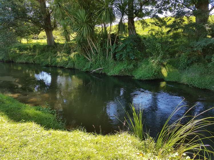 91 Waiomou Road Hauraki Surrounds_16