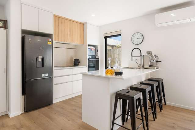 39D Horner Street Papanui_1