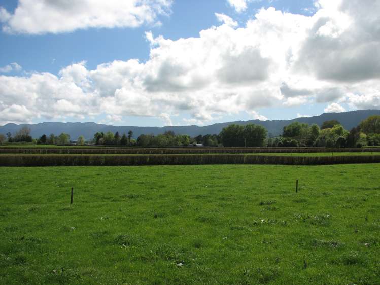 205 Taihoa North Road Matamata_5