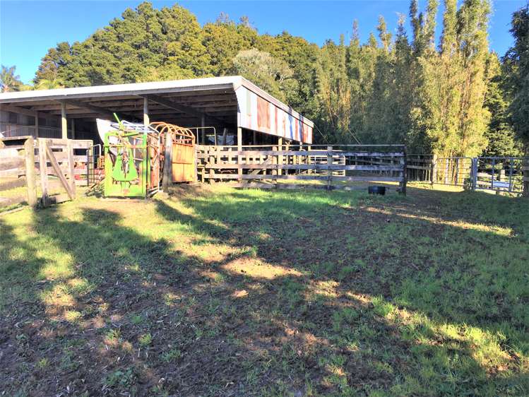 539 Martin Road Kaeo_7