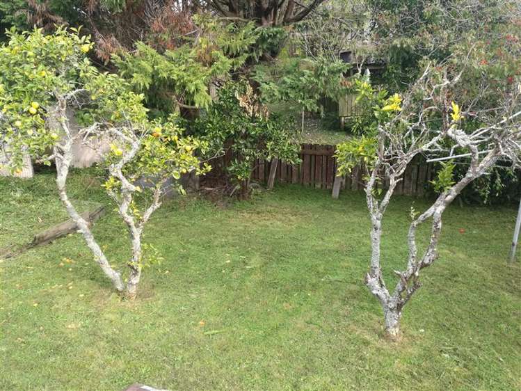 14 Union Road Howick_2