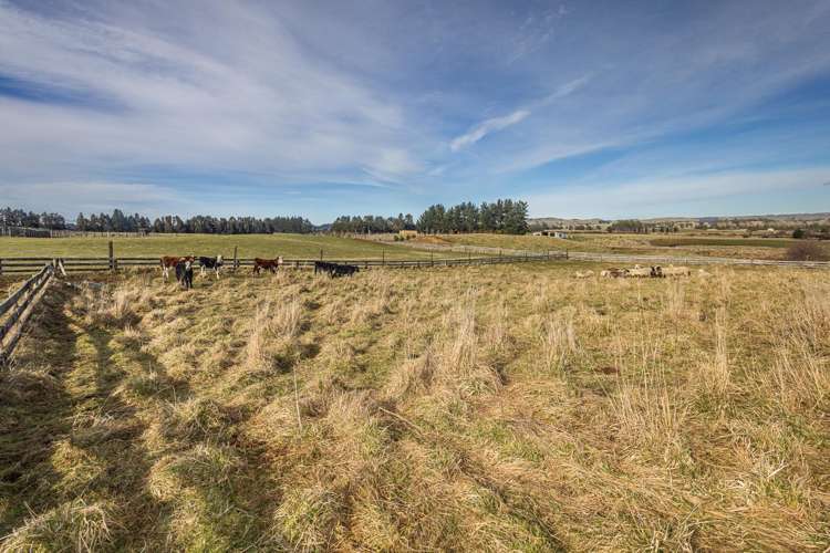 1 Taylors Road Ohakune_4