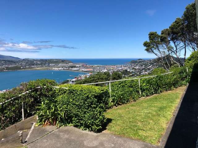 17A Marewa Road Hataitai_1