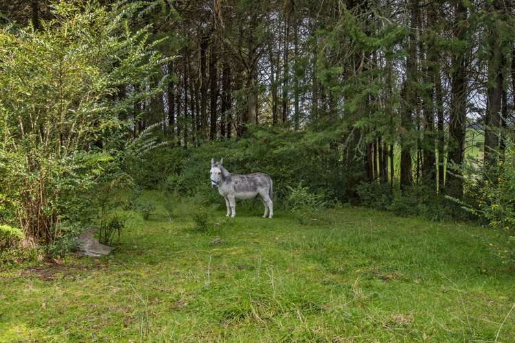 305 Whananaki North Road Hukerenui and Surrounds_14