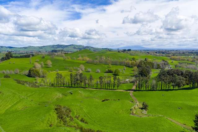 4/366 Karapiro Road Karapiro_4