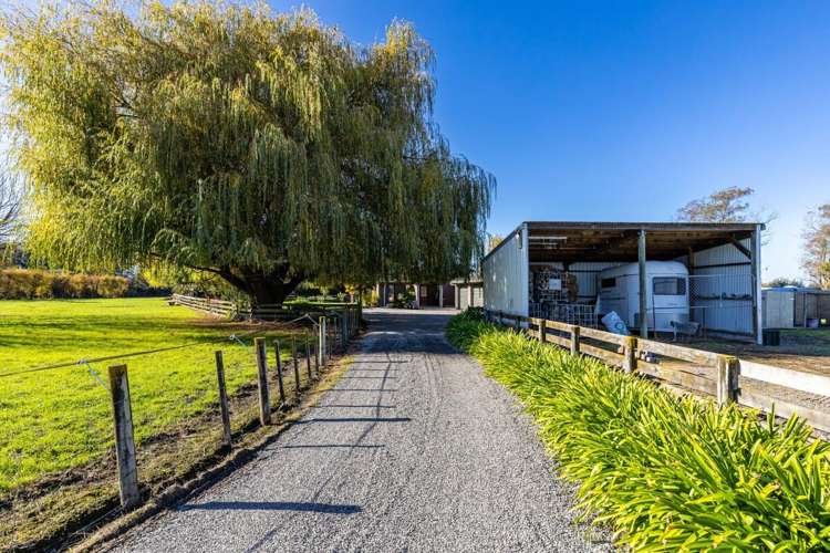 2d Ferry Road Spring Creek_6