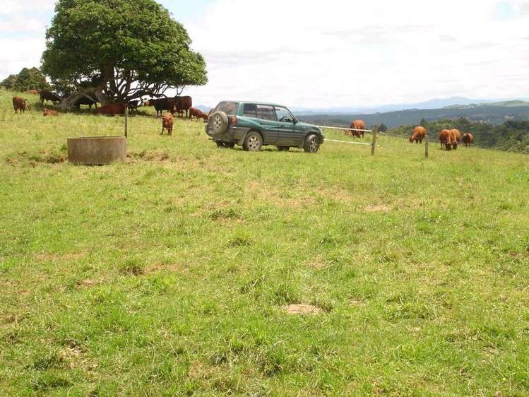 361 Kaiikanui Road Hukerenui and Surrounds_36