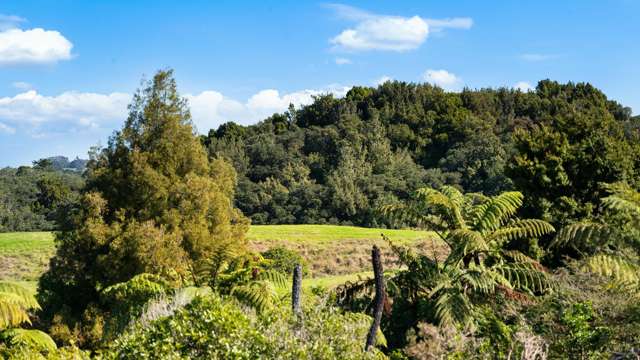 4 Nandina Lane Pukekohe_4