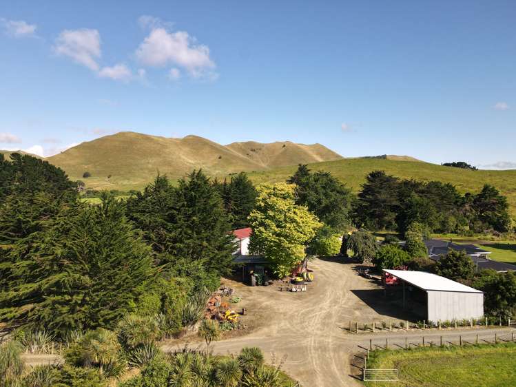 685 Waitahora Road Dannevirke_18
