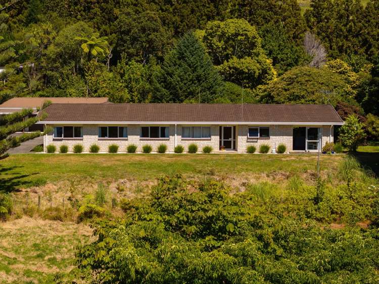 236 Willoughby Road Tahawai_26