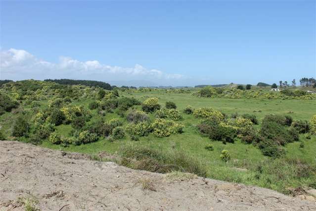 125 Strathnaver Drive Waikawa Beach_2