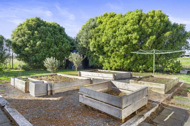 273 Chepmell Road Morrinsville_19