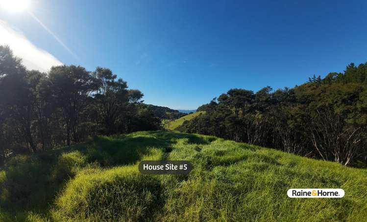 1032 Taupo Bay Road Taupo Bay_8