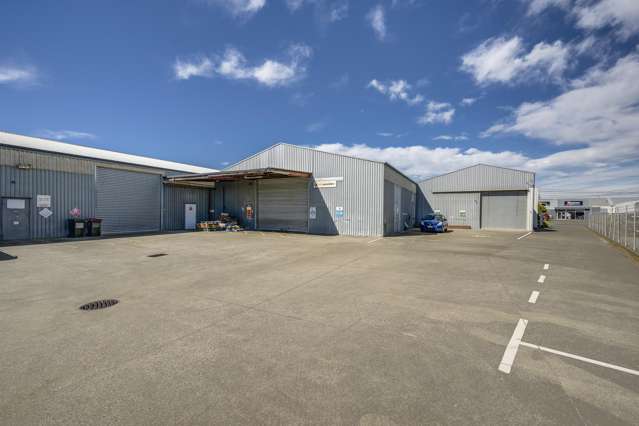 78 Austin Street Onekawa_3