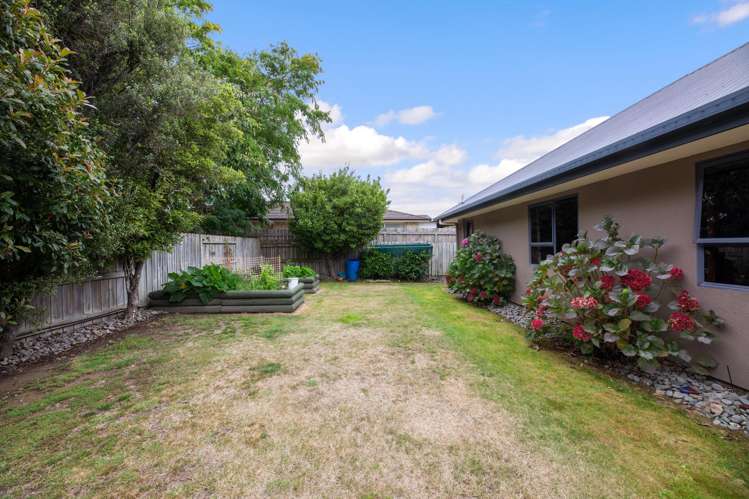 38 Hillcrest Avenue Witherlea_17